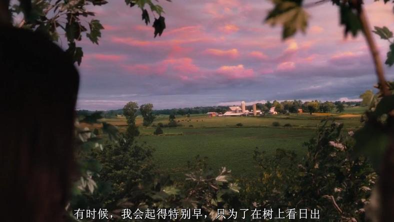 在时代激流中,如何避开向下的沉沦